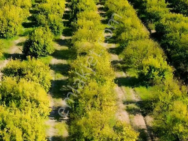 Karadonlar, Ortaca içerisinde satılık Villa