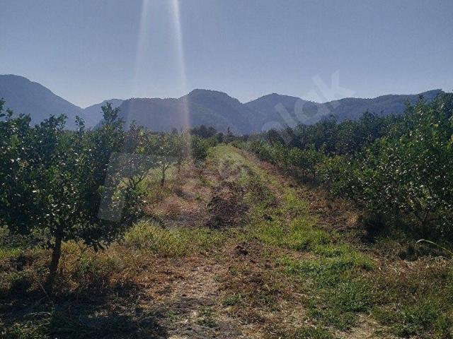 Ortaca, Muğla içerisinde satılık Arsa