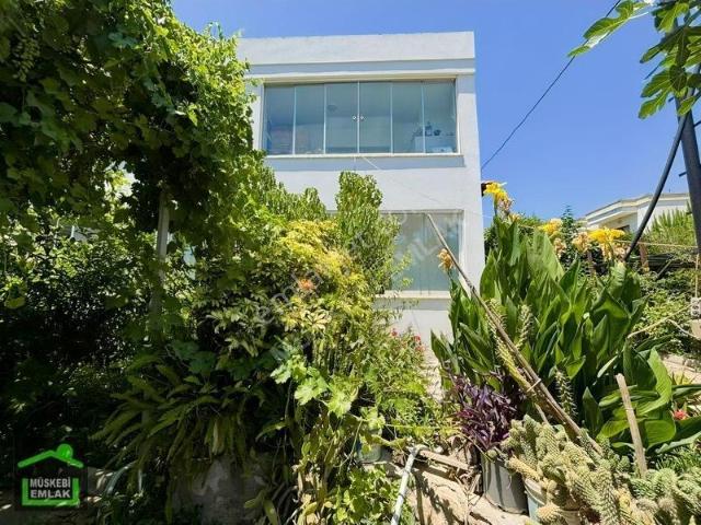 Bodrum, Muğla içerisinde kiralık mülk