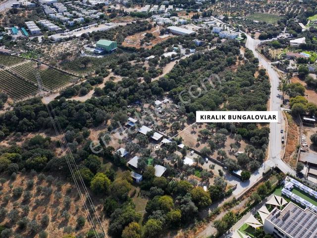 Ortakent Yahşi, Bodrum içerisinde kiralık Villa