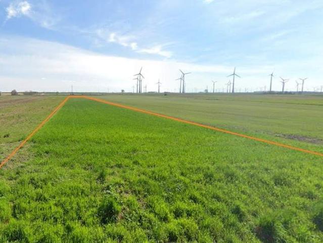 Gewerbe kaufen in Bruck an der Leitha, Niederösterreich