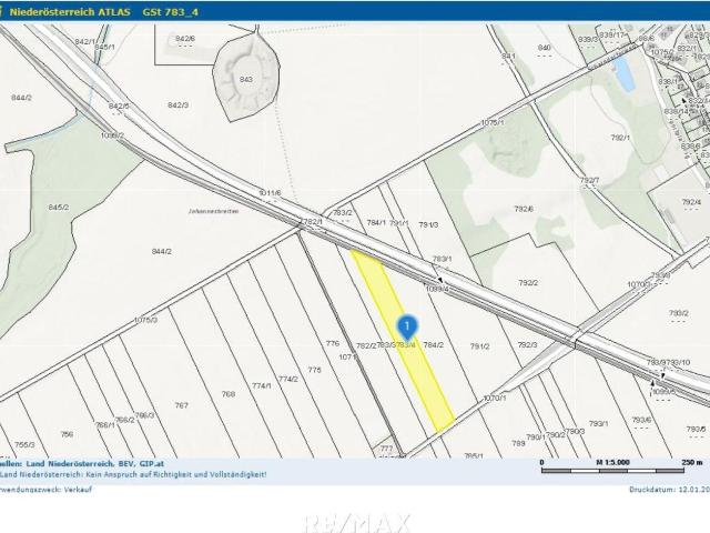 Landwirtschaft kaufen in Petronell-Carnuntum, Niederösterreich