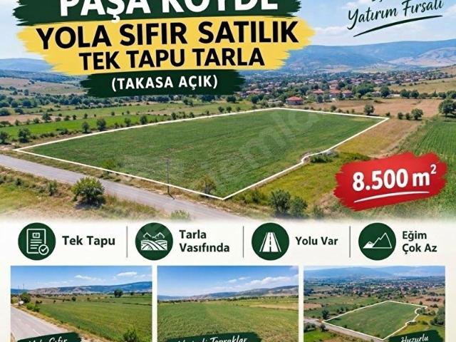 Paşaköy, Çorum Merkez içerisinde satılık Arsa