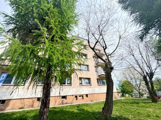 Mieszkanie do wynajęcia w Rydułtowy, Śląskie