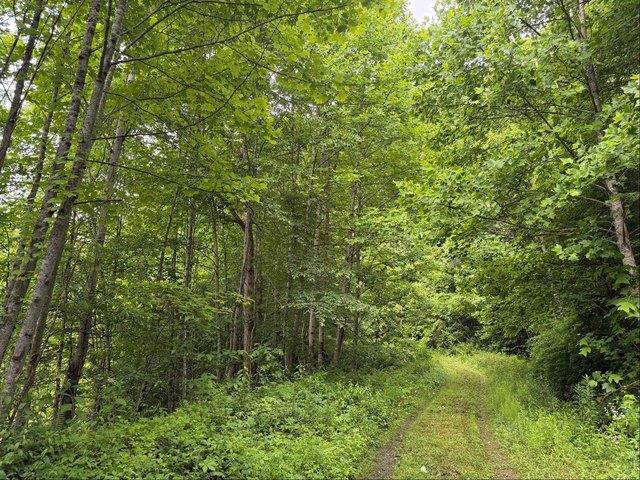 Land for sale in Virginia