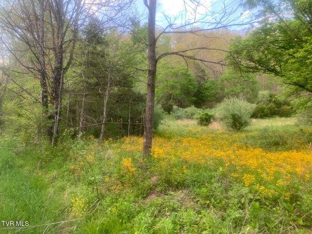 Land for sale in Virginia