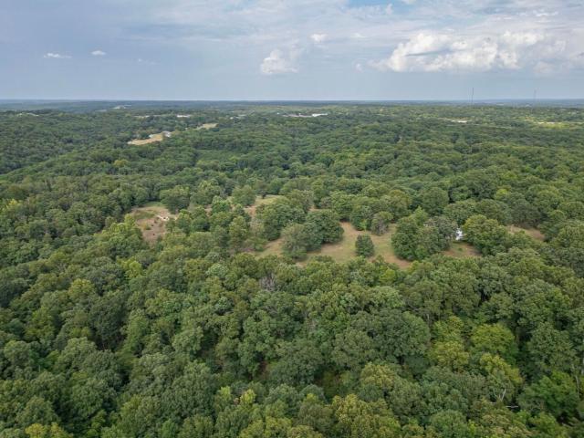 Land for sale in Pineville, Missouri