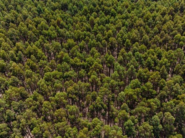 Cottage for sale in Short, Wattle Range Council