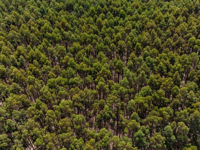 Property for sale in Short, Wattle Range Council