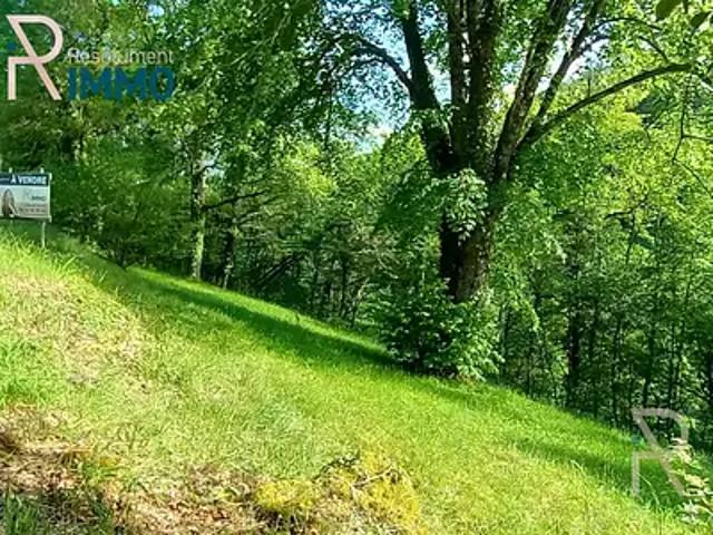 Terrain vente à Osenbach, Collectivité européenne d'Alsace