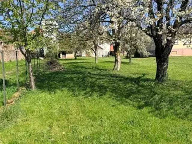 Terrain vente à Thann-Guebwiller, Osenbach