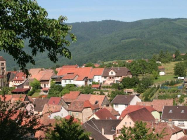 Terrain vente à Thann-Guebwiller, Osenbach