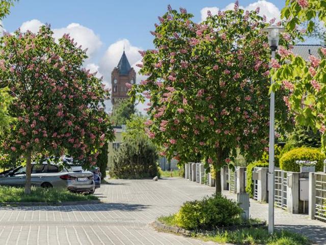 Dom na sprzedaż w Biedrusko, Wielkopolskie