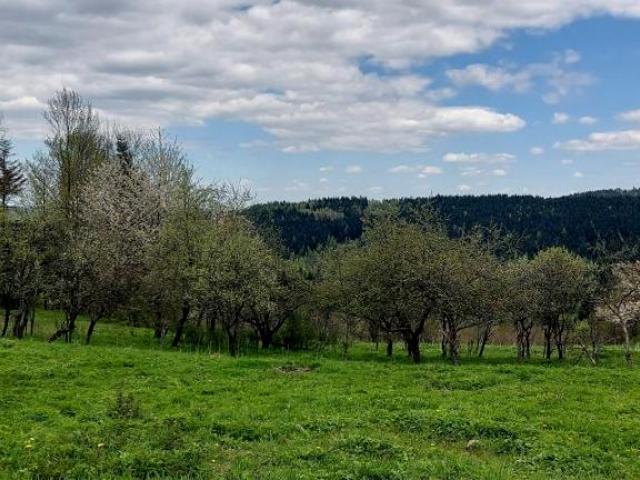 Grunt na sprzedaż w Stryszawa, Małopolskie