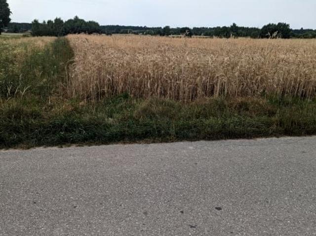 Grunt na sprzedaż w Budziszewice, Łódzkie