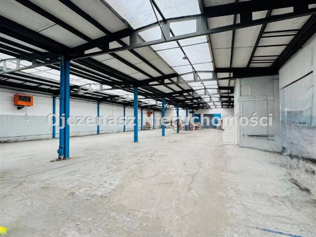 Mieszkanie do wynajęcia w Osielsko, Kujawsko-pomorskie