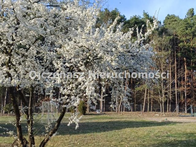 Grunt na sprzedaż w Osielsko, Kujawsko-pomorskie