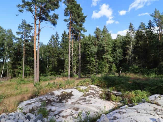 Tomt till salu i Stockholm