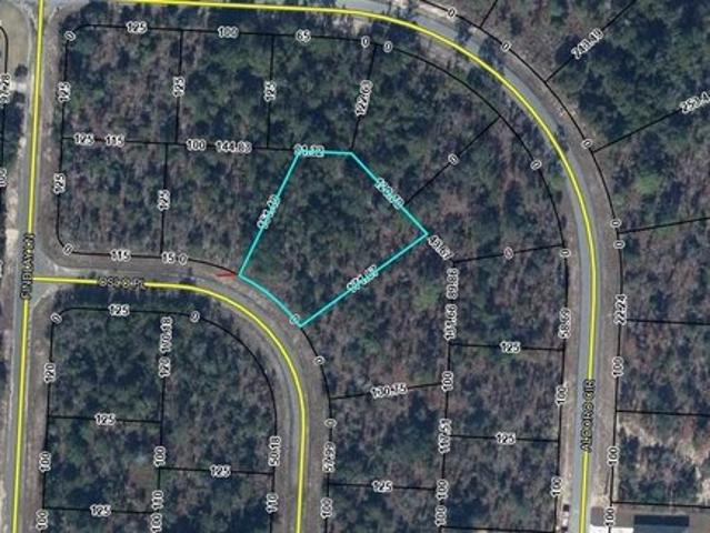 Land for sale in Chipley, Florida