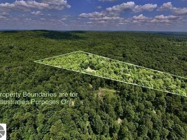 Land for sale in Bellaire, Michigan