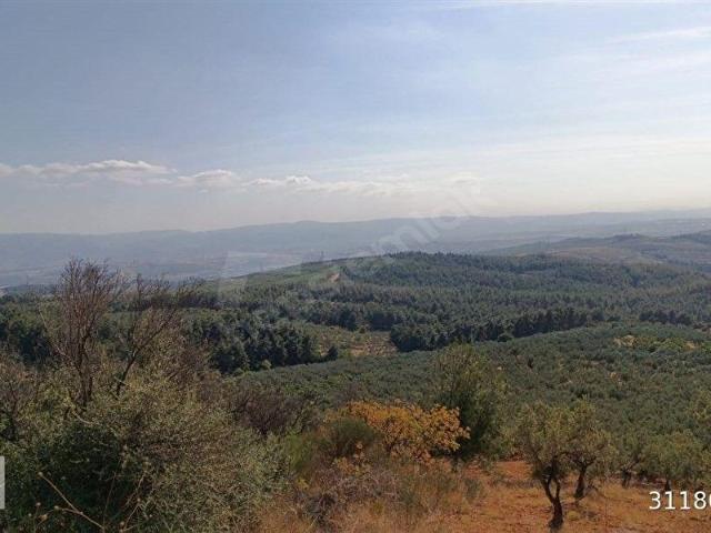 Osmangazi, Bursa içerisinde satılık mülk