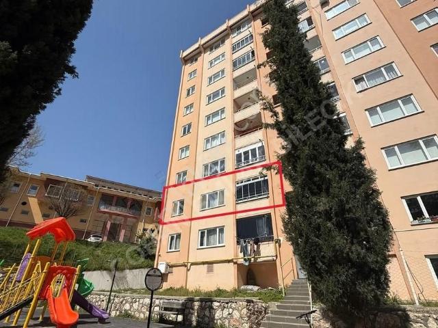 Bilecik Merkez, Bilecik içerisinde satılık mülk