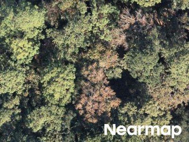 Land for sale in South Carolina
