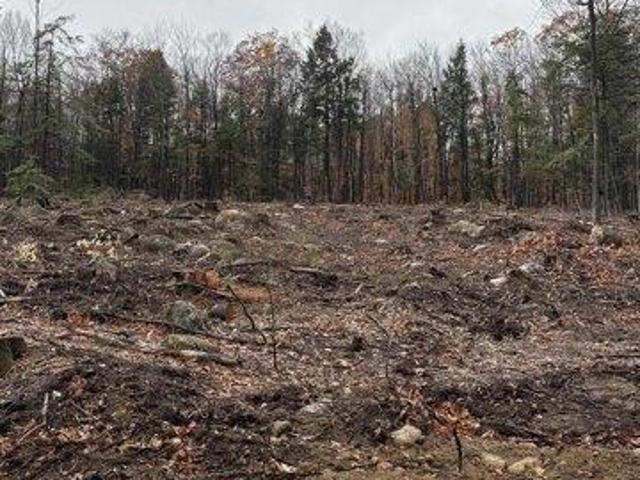 Land for sale in New Hampshire