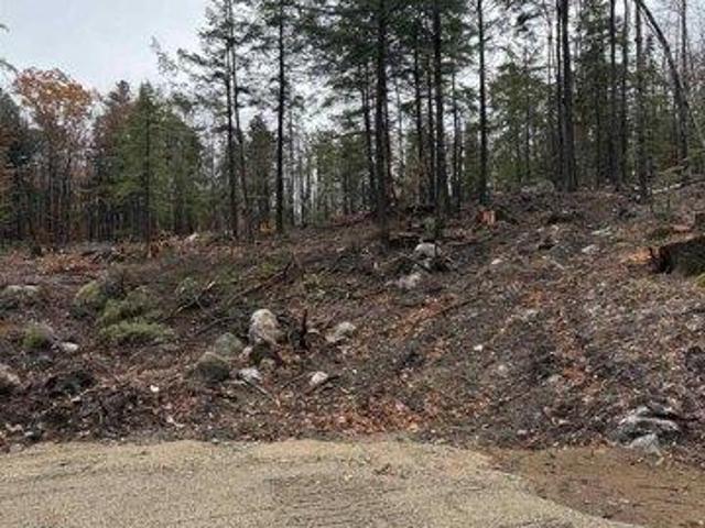 Land for sale in New Hampshire