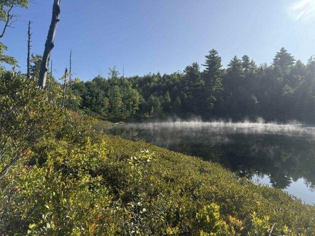 Land for sale in Ossipee, Carroll County