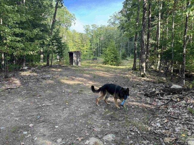Land for sale in Leighton's Corner, Ossipee