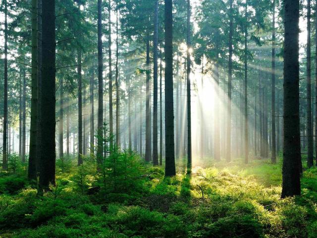 Bostad till salu i Sunne, Värmland