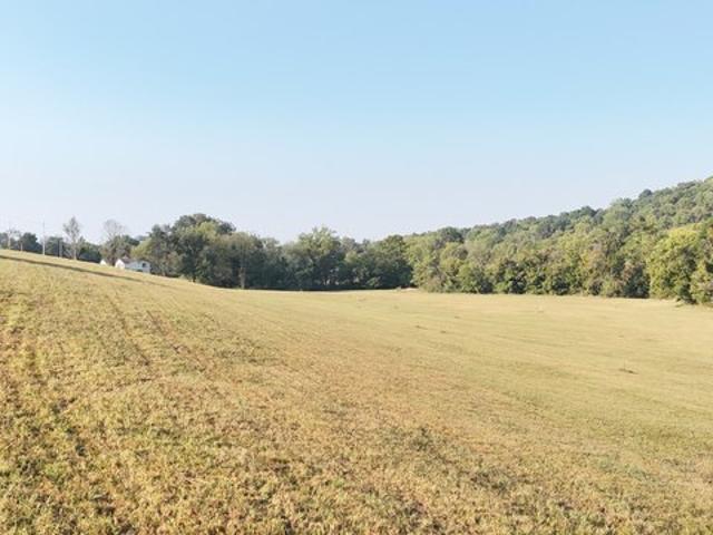 Land for sale in Cornersville, Middle Tennessee