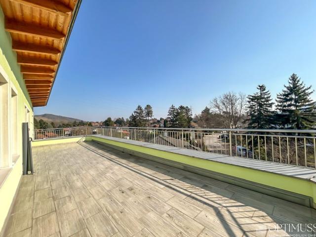 Haus kaufen in Langenzersdorf, Niederösterreich