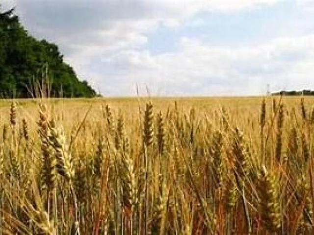 Terreno in vendita a Marche, Pesaro E Urbino