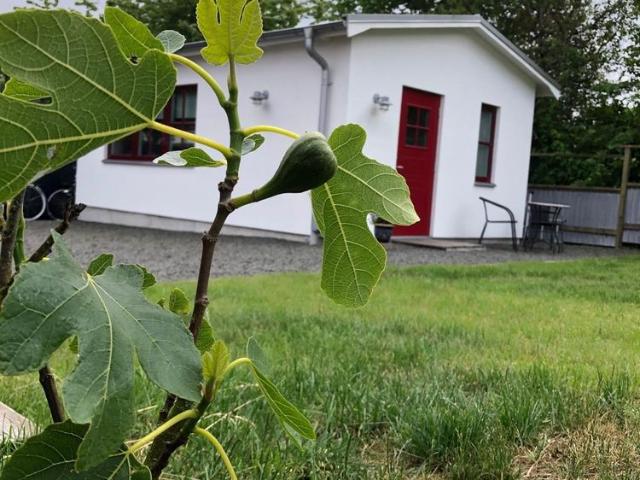 Stuga hyra i Skåne