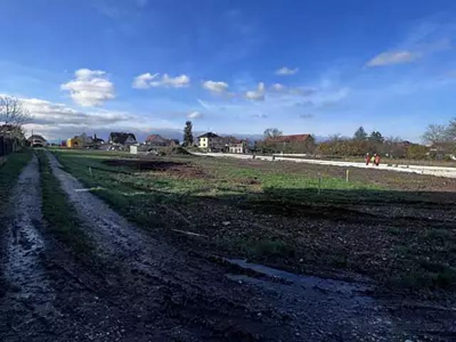 Terrain vente à Sélestat-Erstein, Osthouse