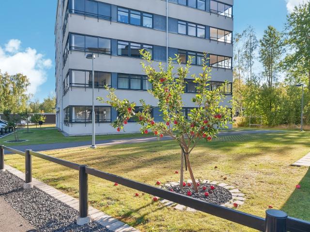 Lägenhet hyra i Älmhult, Kronoberg