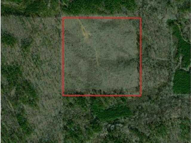 Land for sale in Sturgis, Mississippi