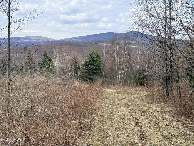 Land for sale in Clifford, Pennsylvania