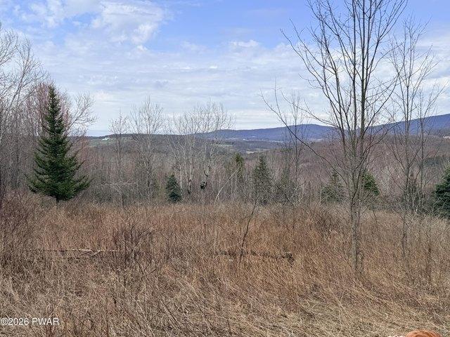 Land for sale in Clifford, Pennsylvania