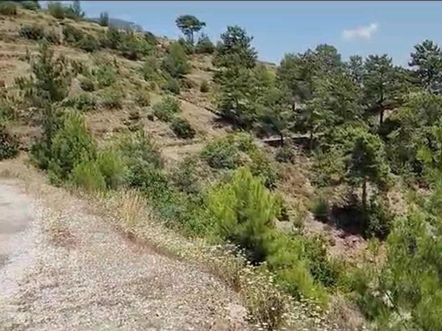 Alanya, Antalya içerisinde satılık Arsa