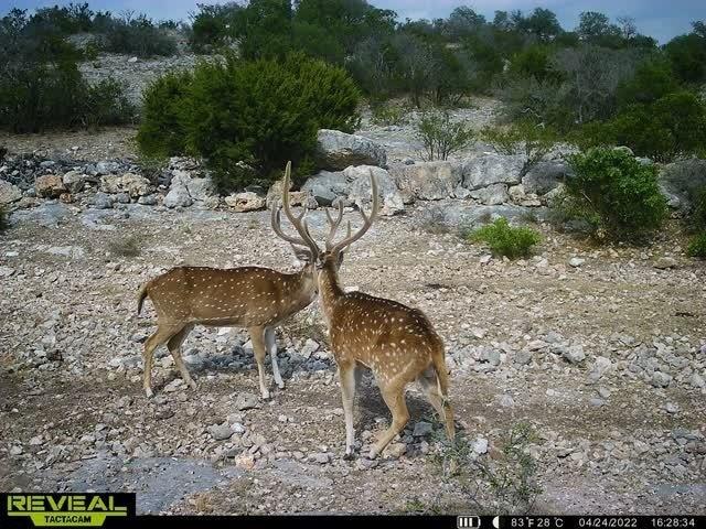Farm for sale in Edwards, Texas