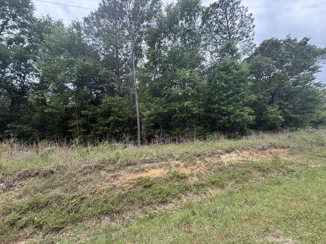 Farm for sale in Lumberton, Mississippi