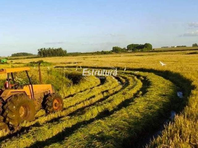 Sítio e chácara venda em Região Geográfica Imediata de São Borja, São Borja