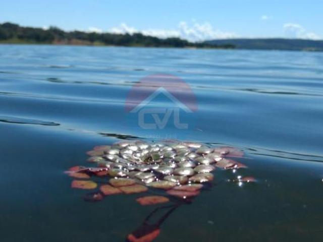 Sítio e chácara venda em Região Geográfica Imediata de Cuiabá, Região Metropolitana do Vale do Rio Cuiabá