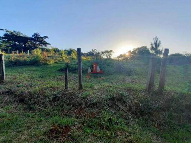 Sítio e chácara venda em Região Geográfica Imediata de Porto Alegre, Região Metropolitana de Porto Alegre