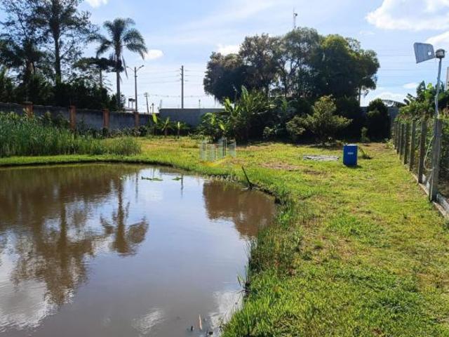 Sítio e chácara venda em Região Geográfica Imediata de Curitiba, Região Metropolitana de Curitiba