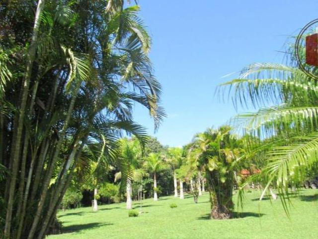 Sítio e chácara venda em Itapetininga