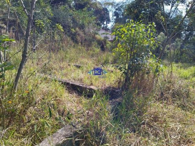 Sítio e chácara venda em Região Geográfica Imediata de Conselheiro Lafaiete, Conselheiro Lafaiete